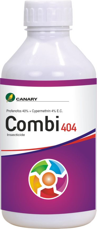 Product 31